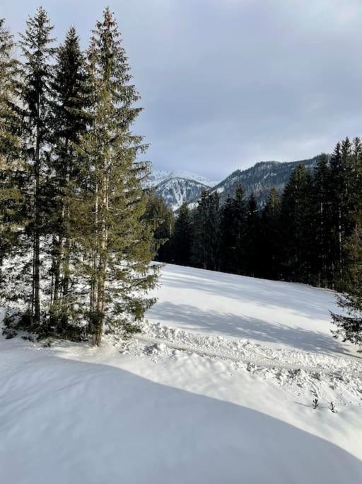 Alpenurlaub II Wohnung Mit Traumausblick 바트 미테른도르프 외부 사진