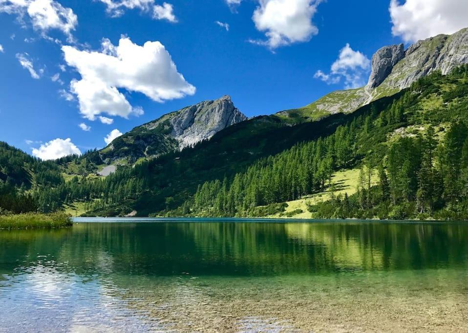 Alpenurlaub II Wohnung Mit Traumausblick 바트 미테른도르프 외부 사진